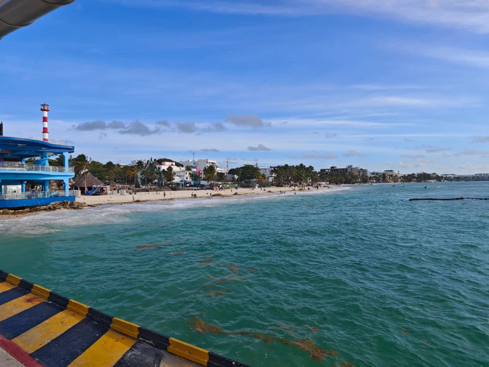 Sargazo Caribe Mexicano Ultima Actualización 2026