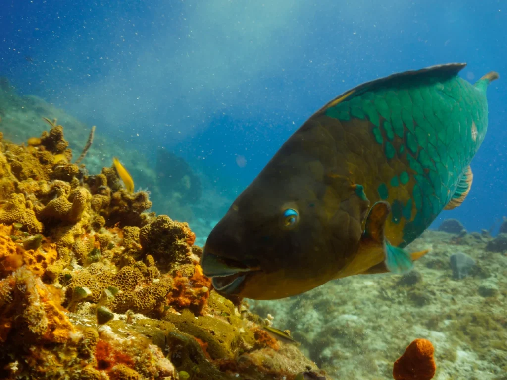Vacaciones de Invierno en Puerto Morelos
