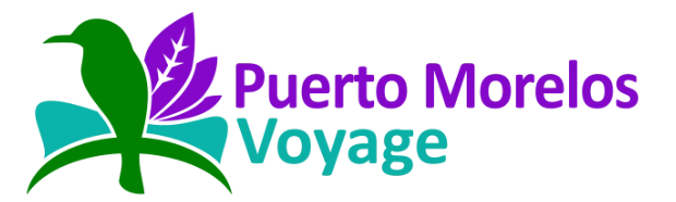 puerto morelos voyage tours mexico
